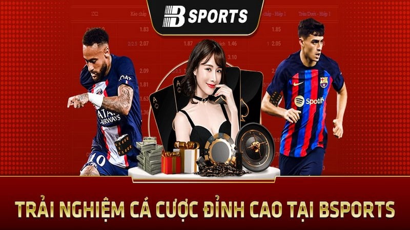 Đôi nét về bộ phận chăm sóc khách hàng của Bsports